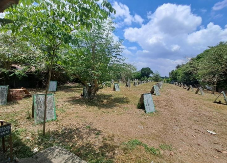 BONIFACIO, CABANATUAN LOT